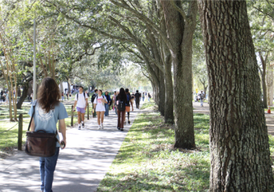 USF new student enrollment increased by 14% this fall